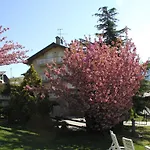 Verger Plein Soleil