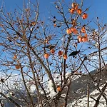 Pensión Verger Plein Soleil
