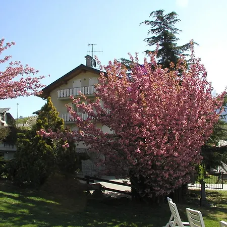 Verger Plein Soleil