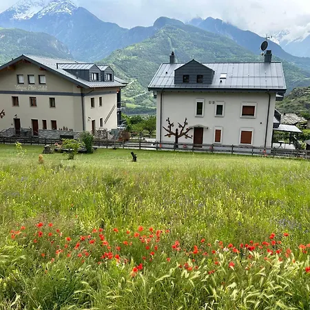 Verger Plein Soleil סיינט-פייר