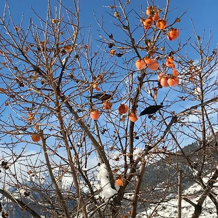 Гостевой дом Verger Plein Soleil