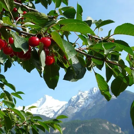 Verger Plein Soleil סיינט-פייר